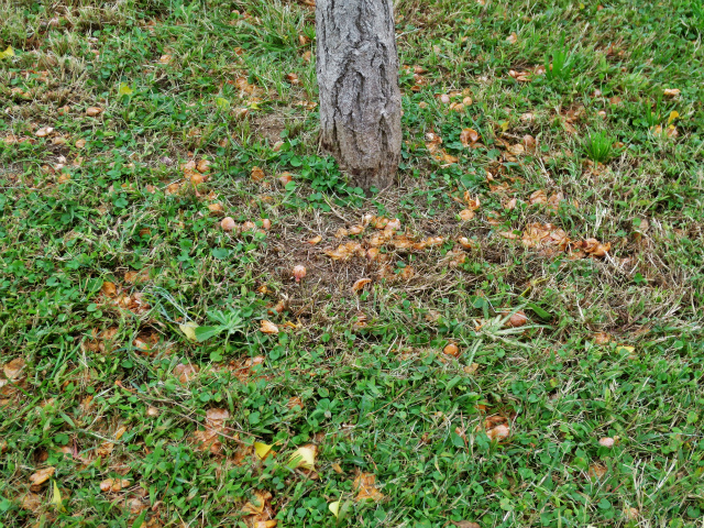 b0064411_05461780.jpg