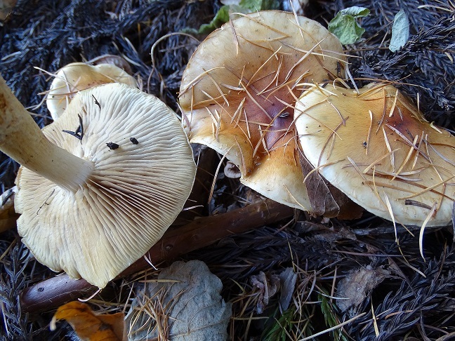 f0360815_15491994.jpg