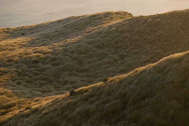 e0361216_09565618.jpg