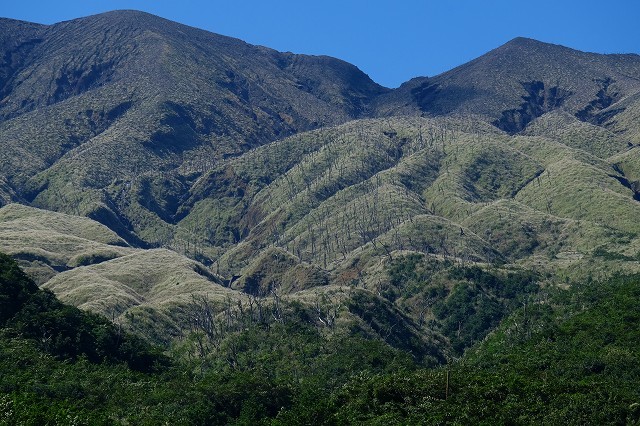 e0361216_09565730.jpg
