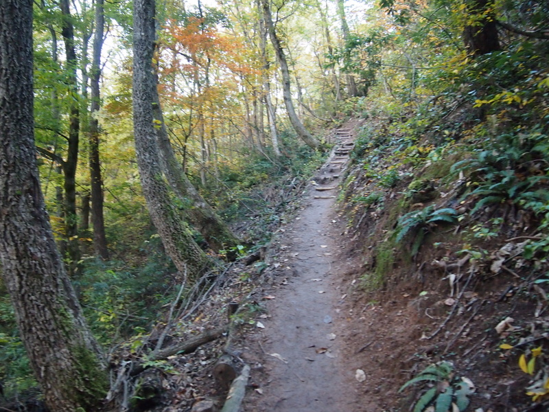 f0150918_202444100.jpg