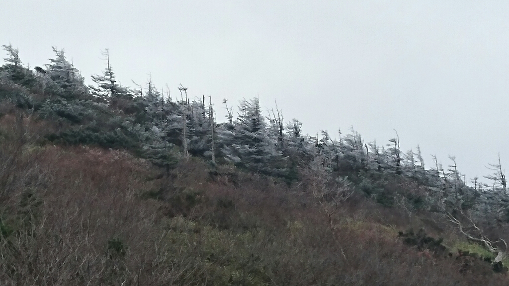 f0182618_22063223.jpg