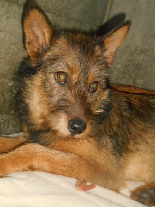f0078320_12442920.jpg