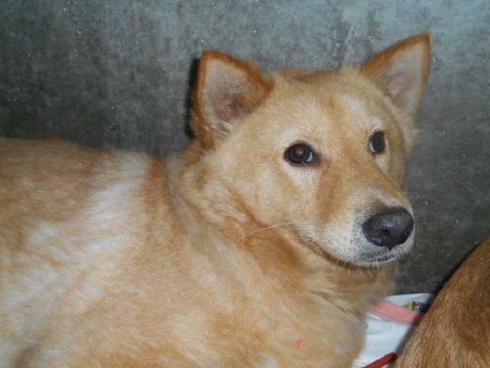 f0078320_246247.jpg