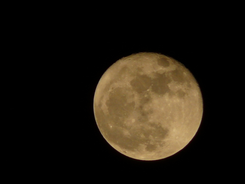 b0286321_09153248.jpg