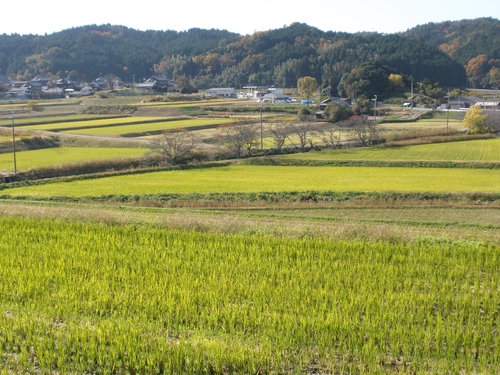 a0163227_1402092.jpg