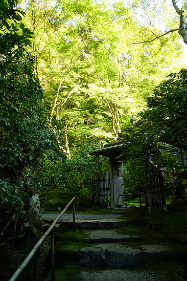 f0037227_19345250.jpg