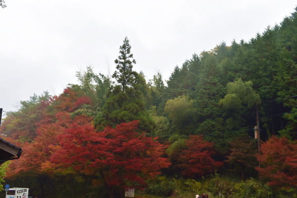 b0046933_19574618.jpg