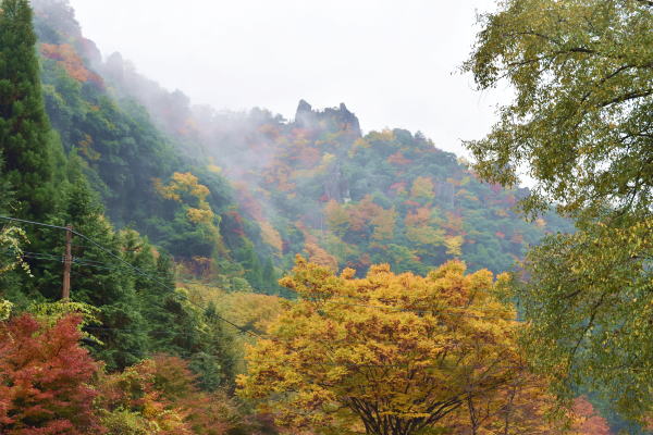 b0046933_19583379.jpg