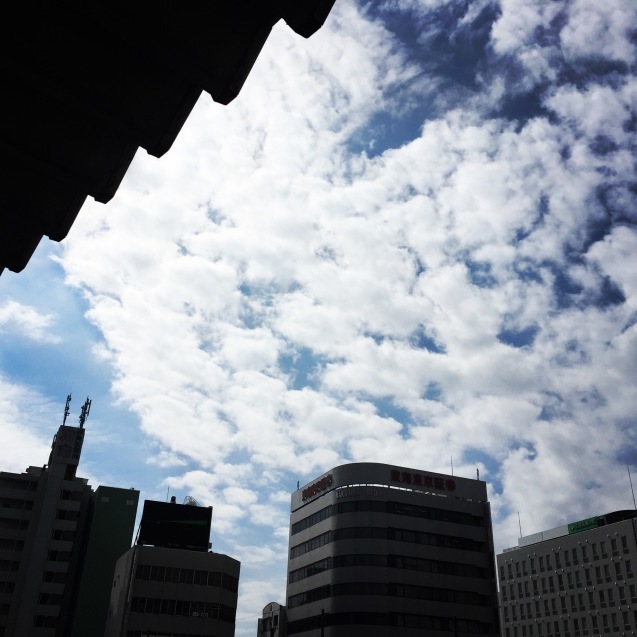 d0013834_23232382.jpg