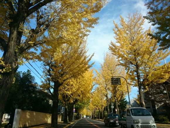 a0116538_14023557.jpg