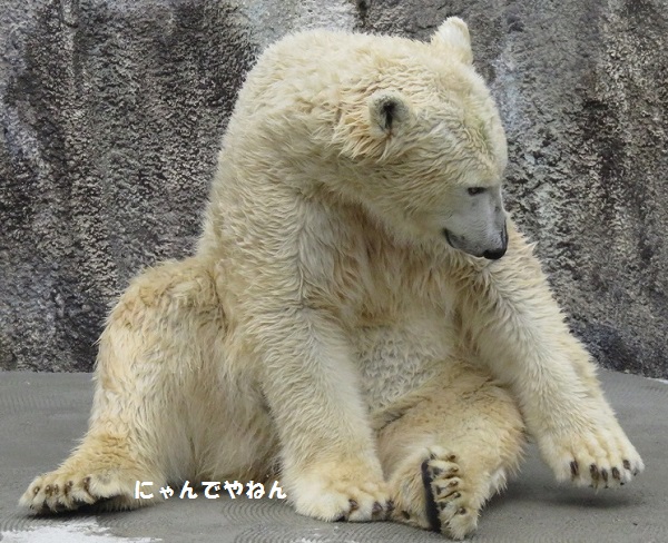 f0002743_0213082.jpg