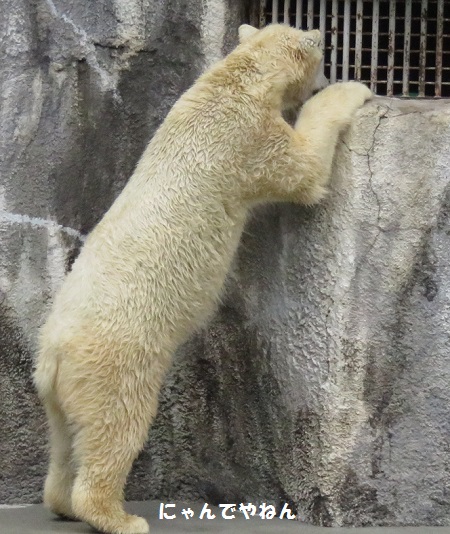 f0002743_0224756.jpg