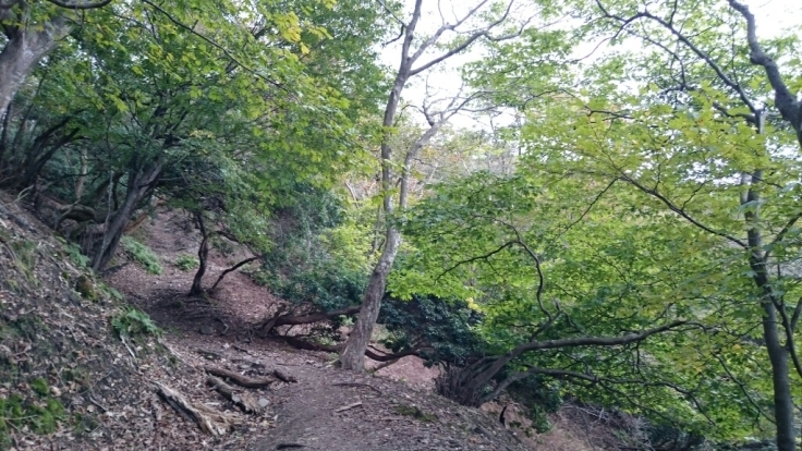 b0148050_08395761.jpg