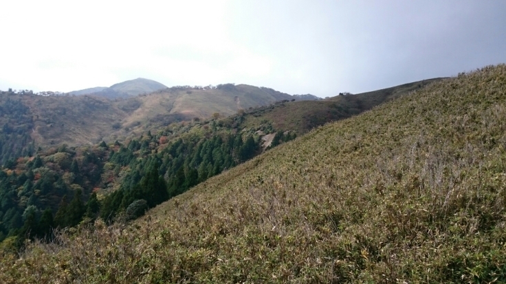 b0148050_08400091.jpg