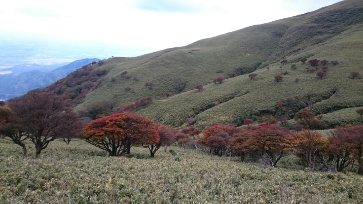 b0148050_10153913.jpg
