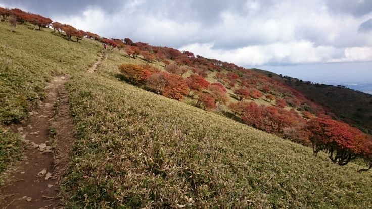 b0148050_10154717.jpg