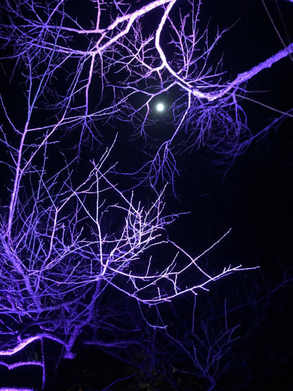 b0367250_23454004.jpg