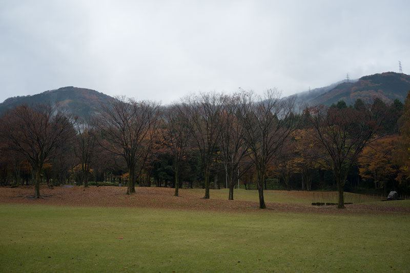 d0342652_18343345.jpg
