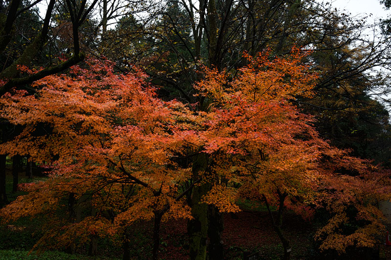 d0342652_183529100.jpg