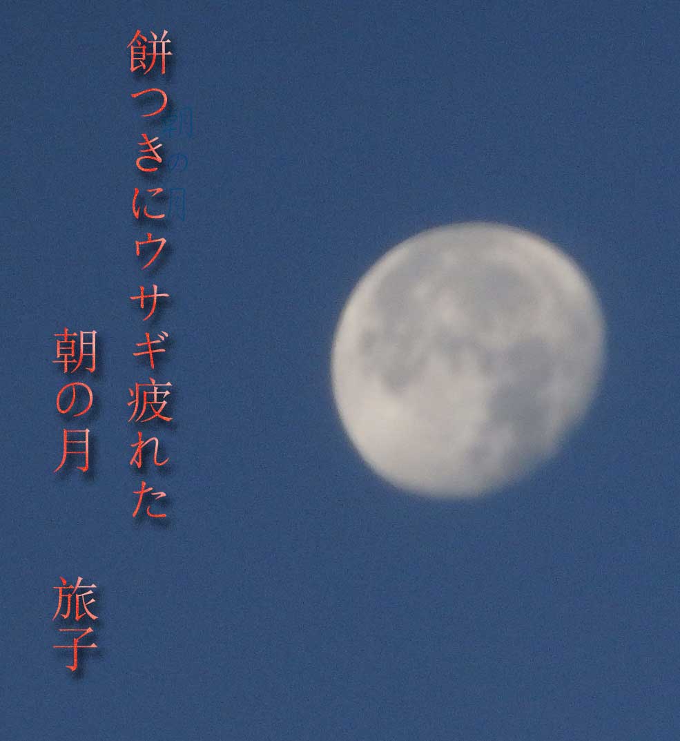 a0193457_18341350.jpg