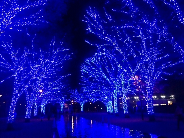 f0043559_23580469.jpg