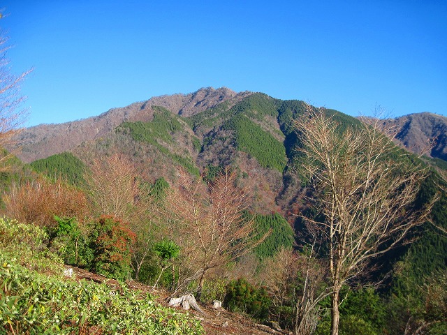 c0219866_16355483.jpg