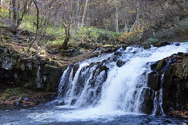 e0177271_10001804.jpg