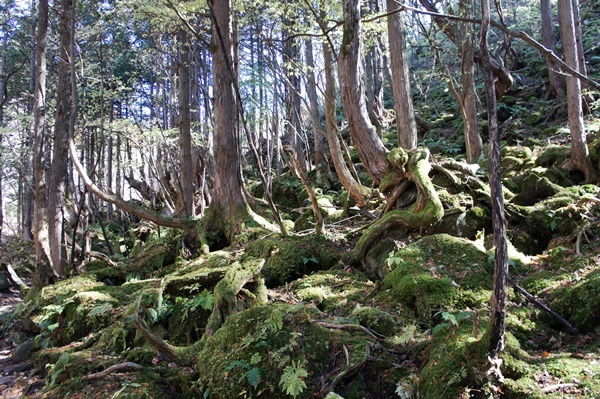 e0177271_10010724.jpg
