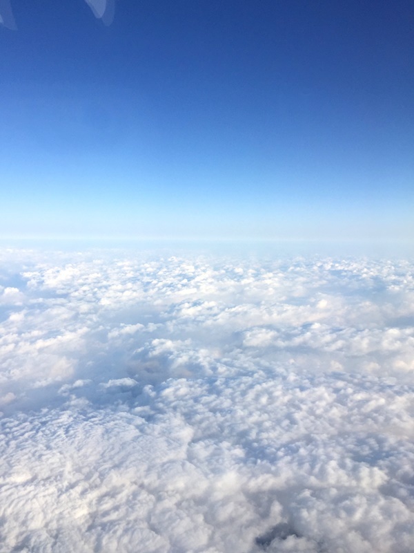 b0165872_20312375.jpg