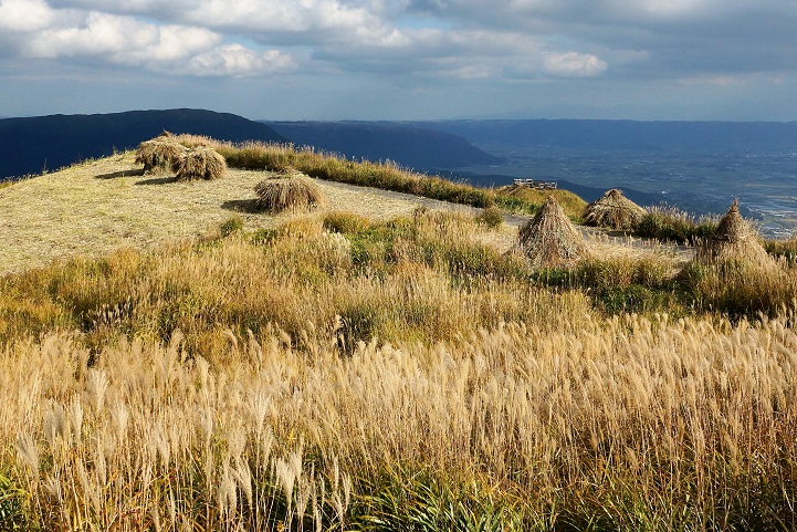 c0248473_200476.jpg