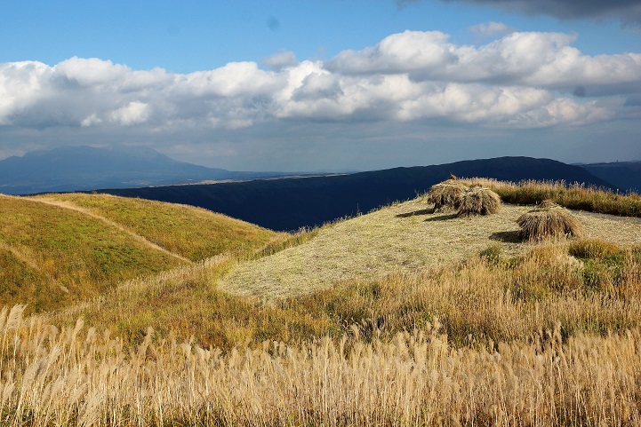 c0248473_20125.jpg