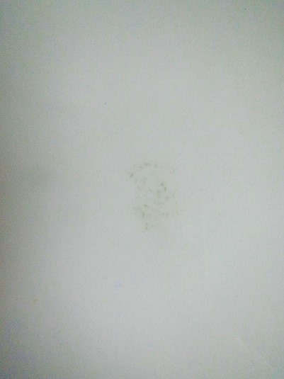 e0074478_1593228.jpg