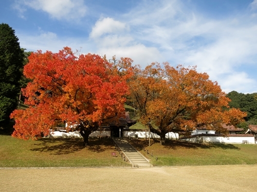 f0299682_15220817.jpg