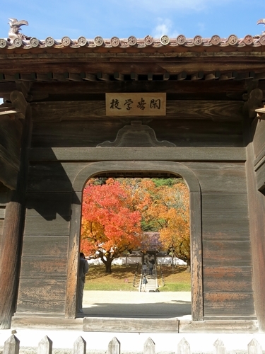 f0299682_15224639.jpg