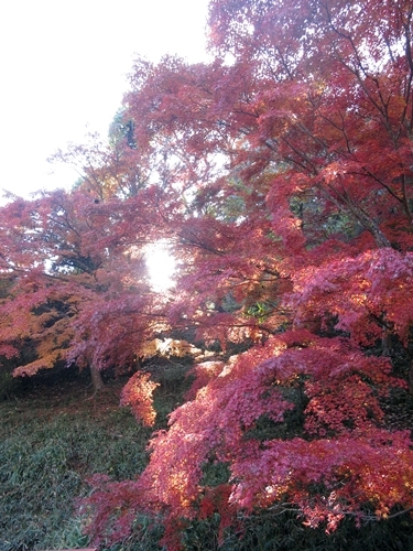 f0299682_15253290.jpg