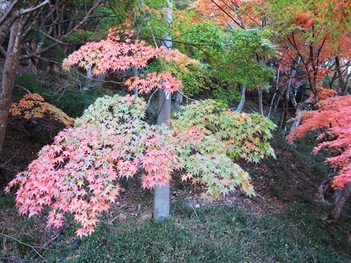 f0299682_15255388.jpg