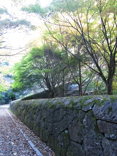 f0299682_15262336.jpg