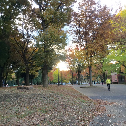 a0326292_1147433.jpg
