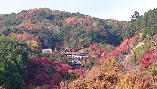 a0036693_22340943.jpg