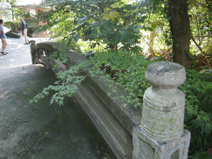 a0146493_20245304.jpg