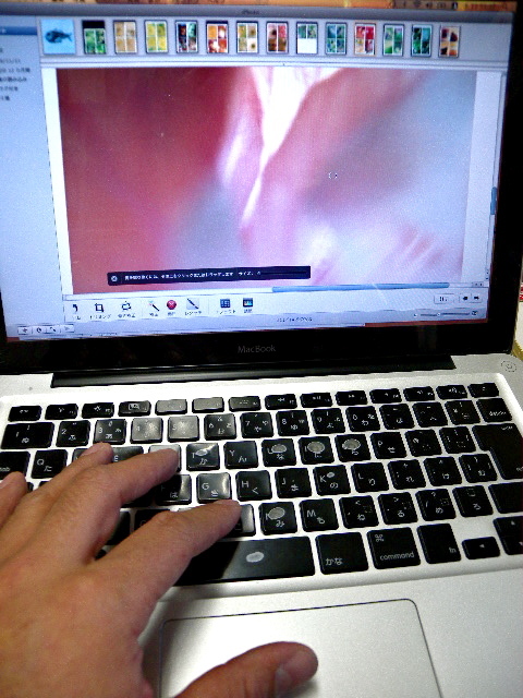 a0199297_00004230.jpg