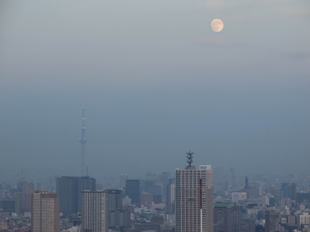 c0238497_09334500.jpg