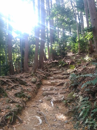 a0236300_22562985.jpg