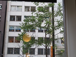 f0325309_18420915.jpg
