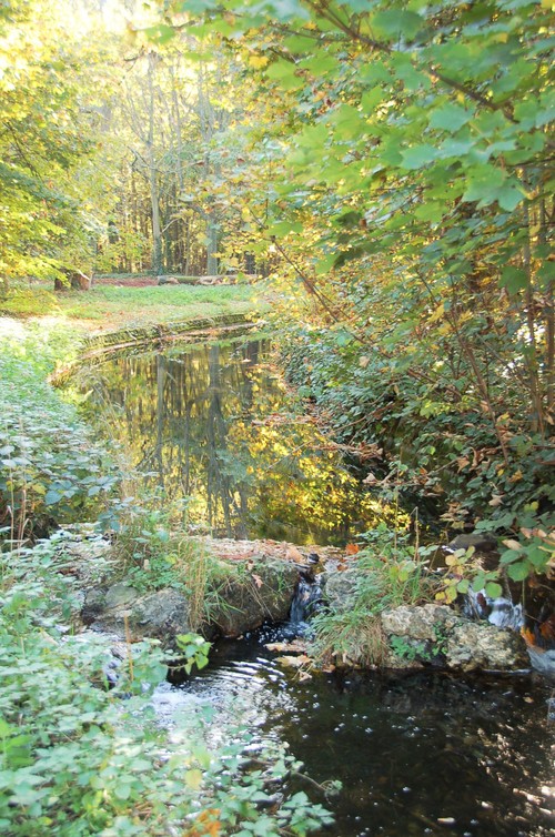 e0082110_1533077.jpg