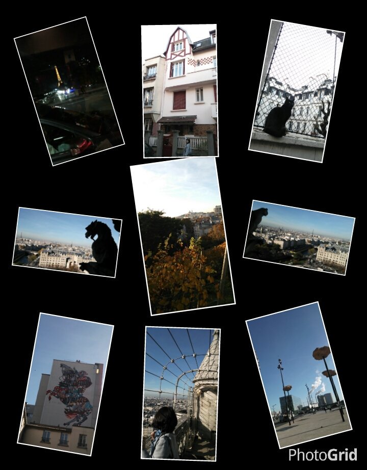 e0082110_4183596.jpg