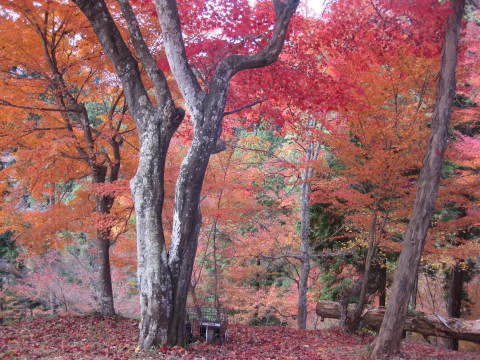 c0352015_22263978.jpg