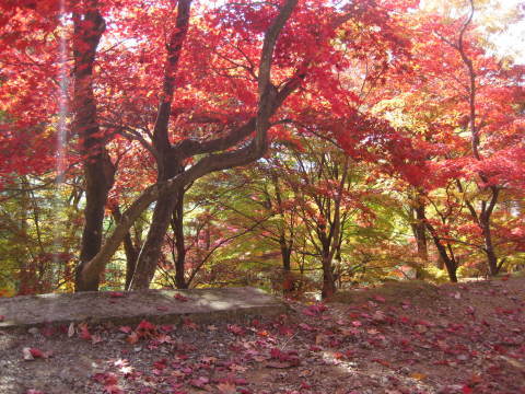c0352015_22271372.jpg
