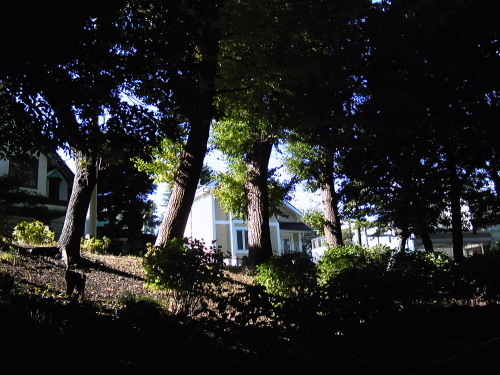 b0285619_06374857.jpg
